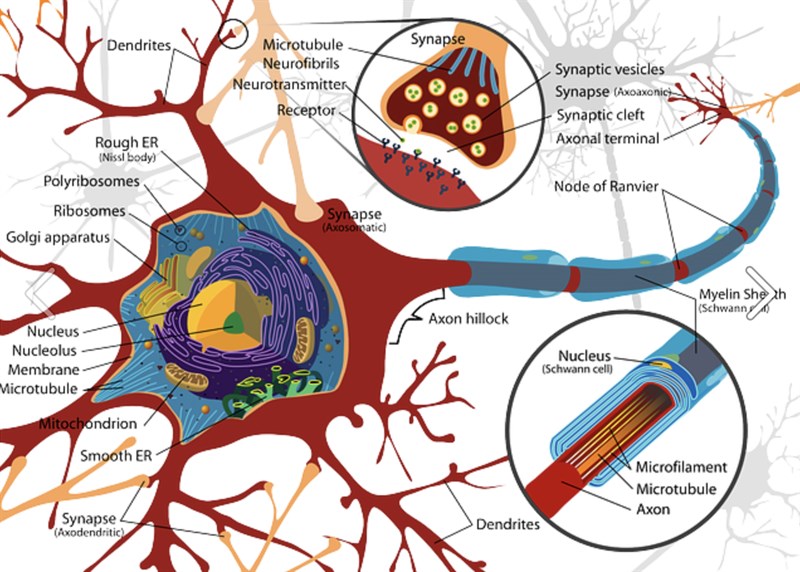 Din Krop i Centrum: Så er 2020 godt i gang