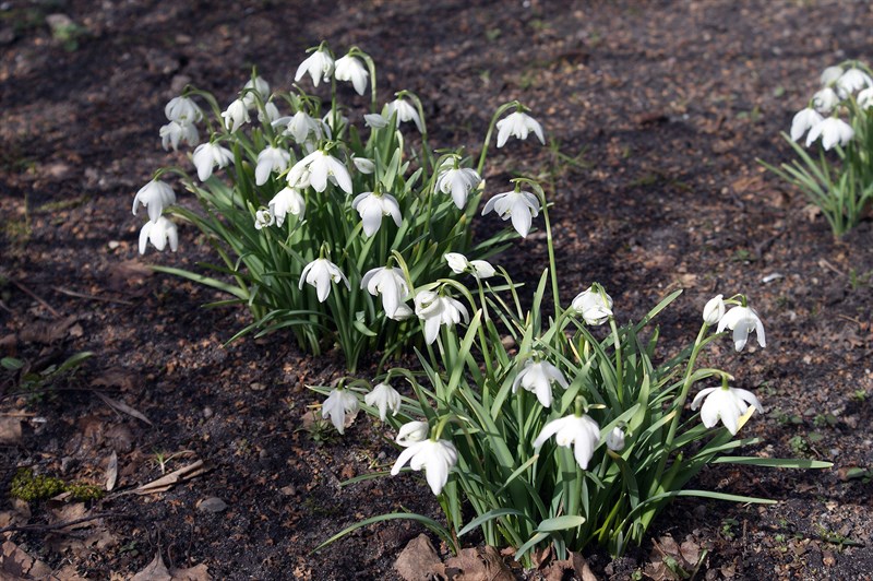 Affaldsindsamling i Stavtrup søndag 21. april kl. 10-12