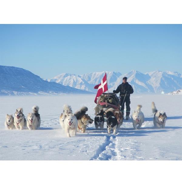 Kultur Café – Slædepatruljen Sirius