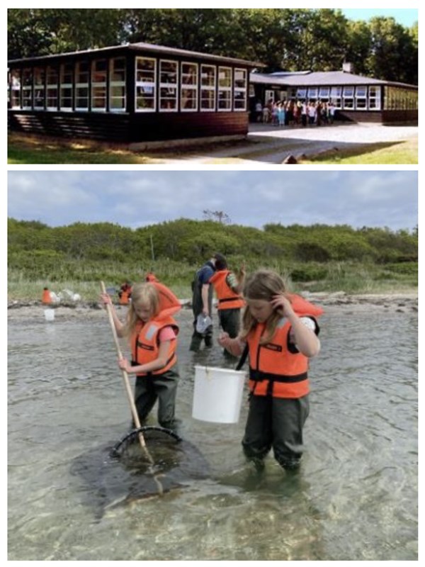 Aarhuskolonien – Sommercamp