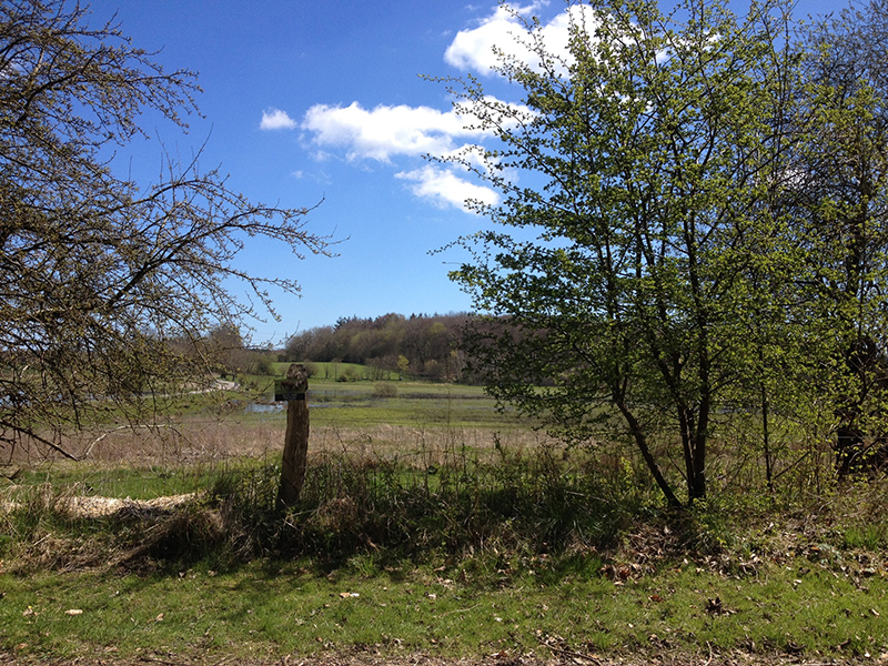 Et kunstværk til Stavtrup